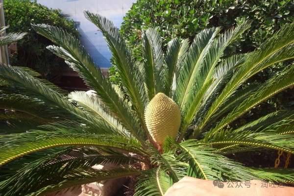 微信图片_20250611090202.jpg 微信图片_20250611090202.jpg